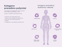 PROTO-COL COLLAGEN SHOTS 5000 mg geriamasis kolagenas buteliukuose N10