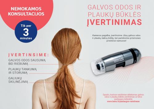 Galvos odos ir plauko būklės įvertinimas