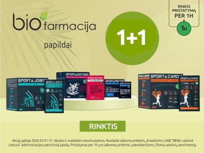 202603 sport carousel